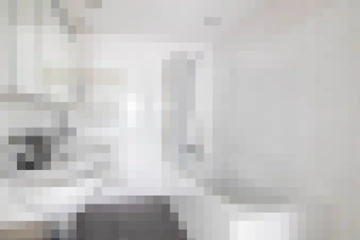 Planciusschans 11 Zoetermeer thumbnail 32