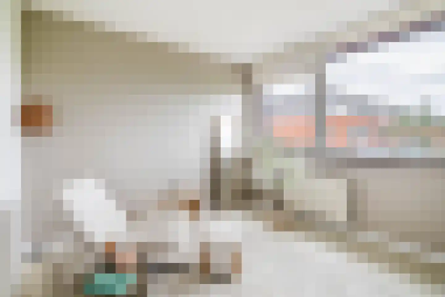 Planciusschans 11 Zoetermeer thumbnail 35