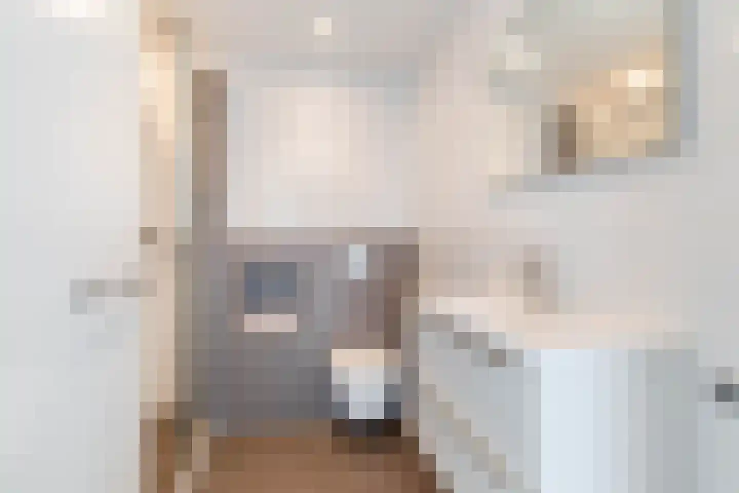 Planciusschans 11 Zoetermeer thumbnail 37