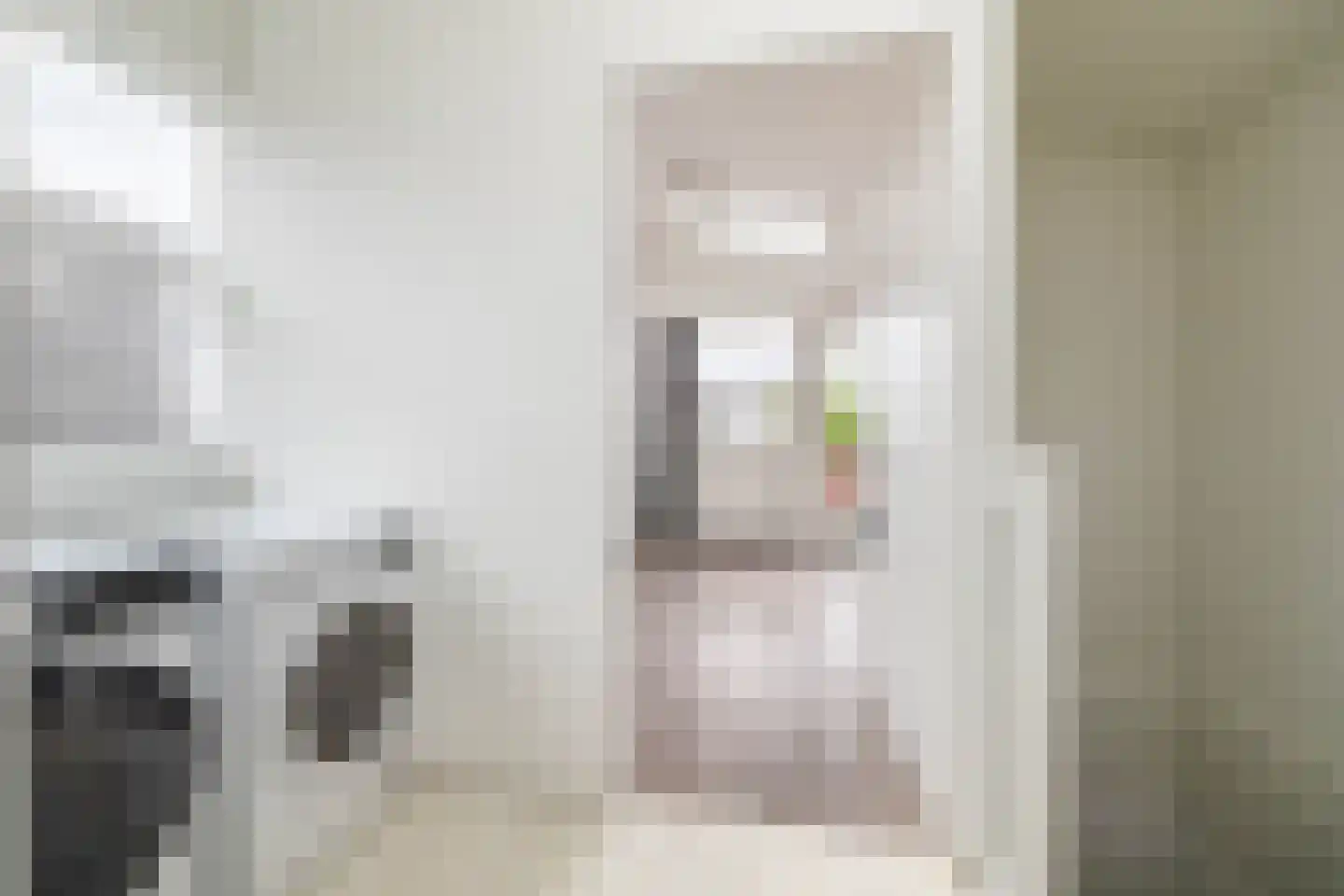 Planciusschans 11 Zoetermeer thumbnail 40