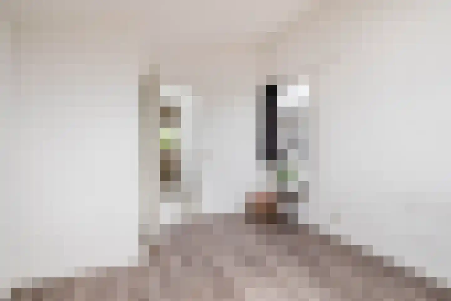 Planciusschans 11 Zoetermeer thumbnail 42