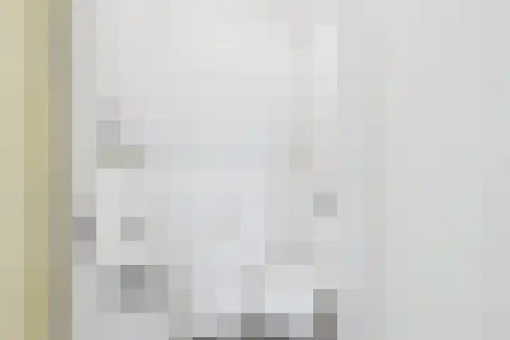 Planciusschans 7 Terneuzen thumbnail 10