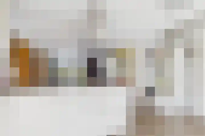 Planciusschans 7 Terneuzen thumbnail 11
