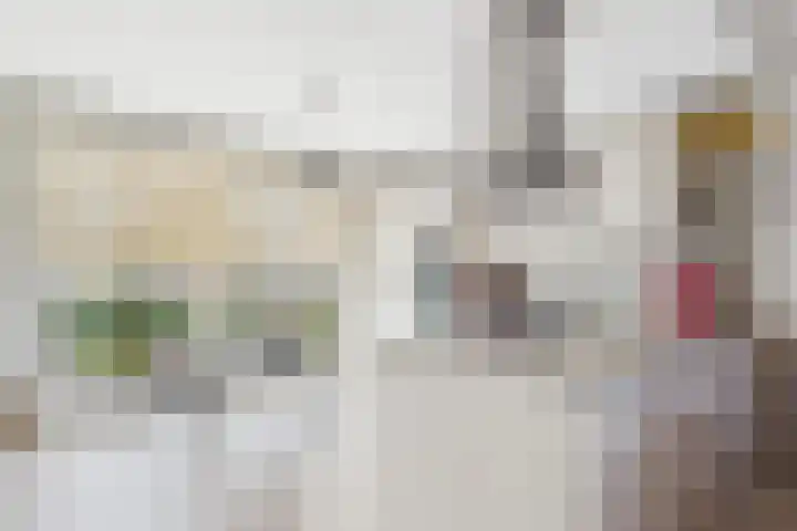 Planciusschans 7 Terneuzen thumbnail 13
