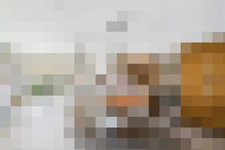 Planciusschans 7 Terneuzen thumbnail 14