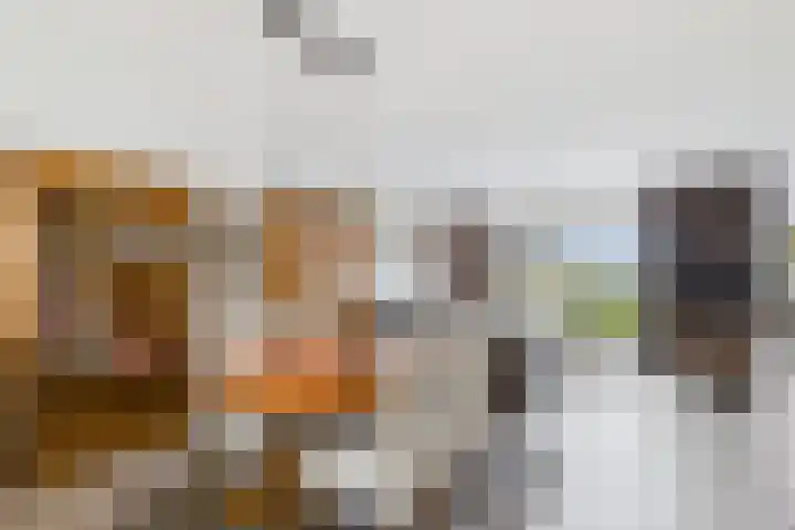 Planciusschans 7 Terneuzen thumbnail 15