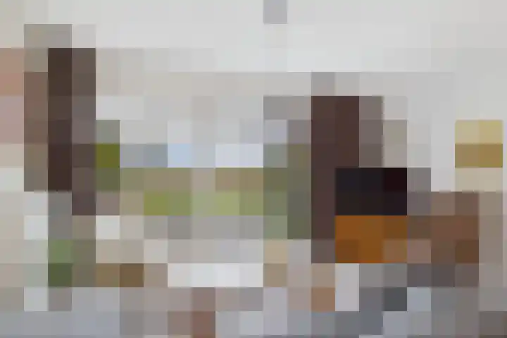 Planciusschans 7 Terneuzen thumbnail 16