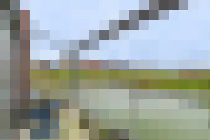Planciusschans 7 Terneuzen thumbnail 19
