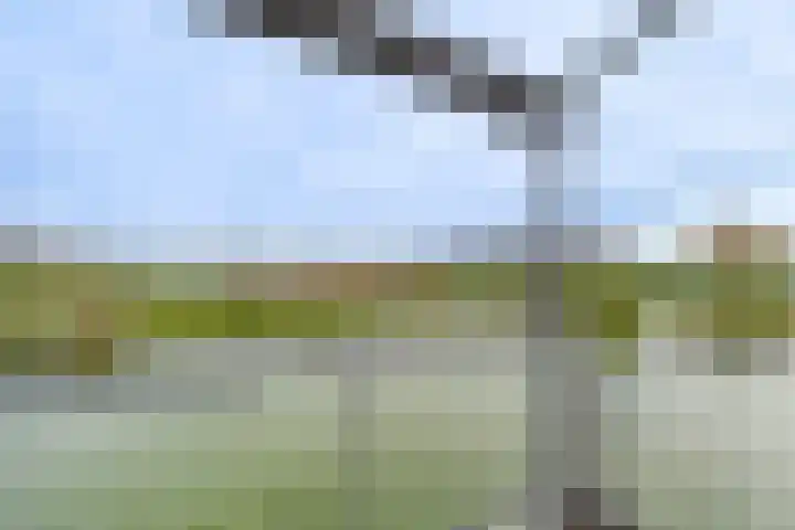 Planciusschans 7 Terneuzen thumbnail 20