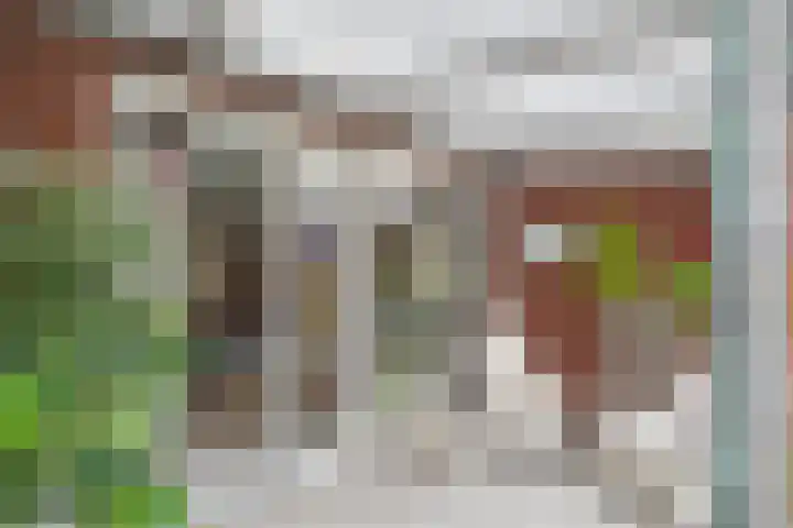 Planciusschans 7 Terneuzen thumbnail 21