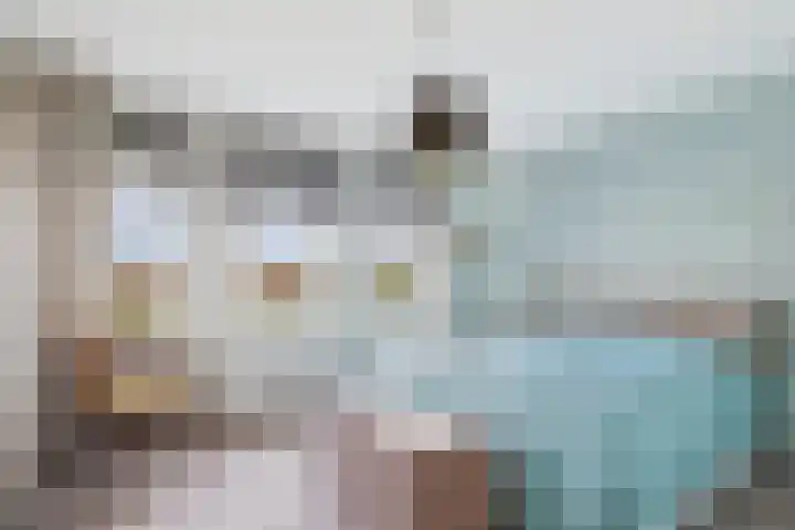 Planciusschans 7 Terneuzen thumbnail 25