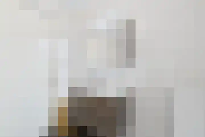 Planciusschans 7 Terneuzen thumbnail 30