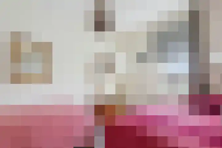 Planciusschans 7 Terneuzen thumbnail 33