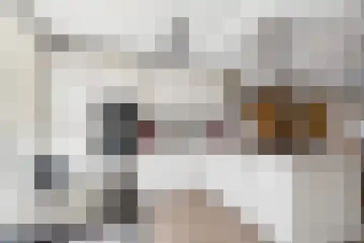 Planciusschans 7 Terneuzen thumbnail 5