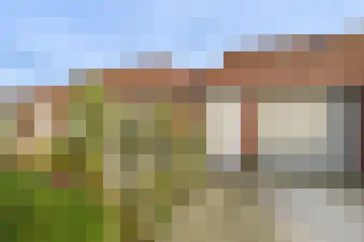 Planciusschans 7 Terneuzen thumbnail 7