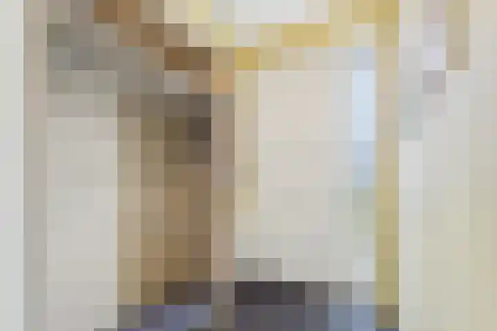 Planciusschans 7 Terneuzen thumbnail 8