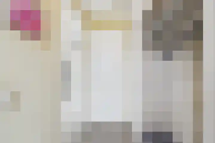 Planciusschans 7 Terneuzen thumbnail 9