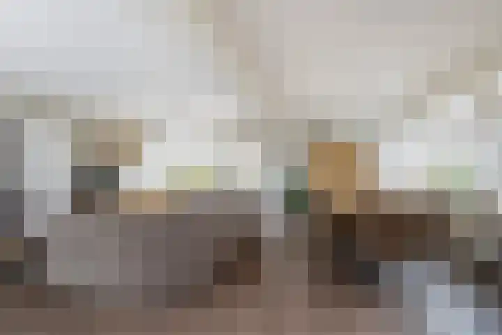 Planciusstraat 16 Vlaardingen thumbnail 15
