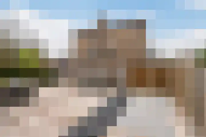 Planciusstraat 16 Vlaardingen thumbnail 17