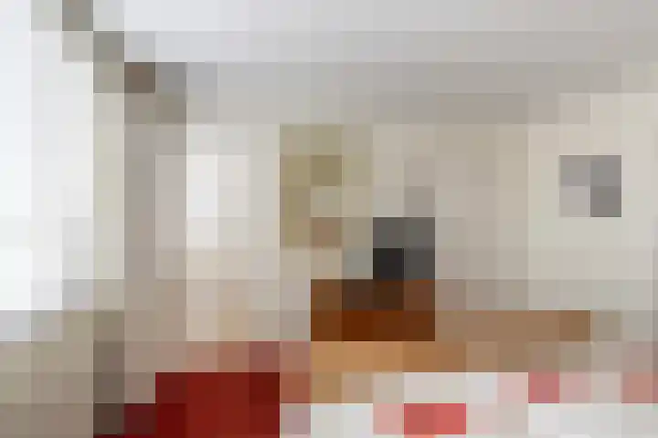 Planciusstraat 16 Vlaardingen thumbnail 32