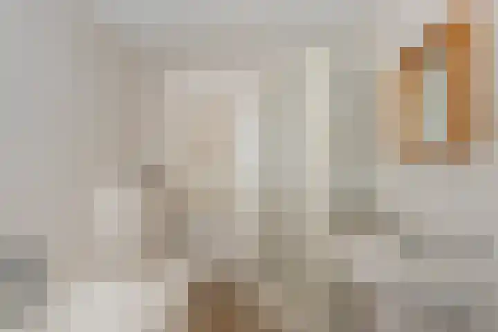Planciusstraat 16 Vlaardingen thumbnail 33