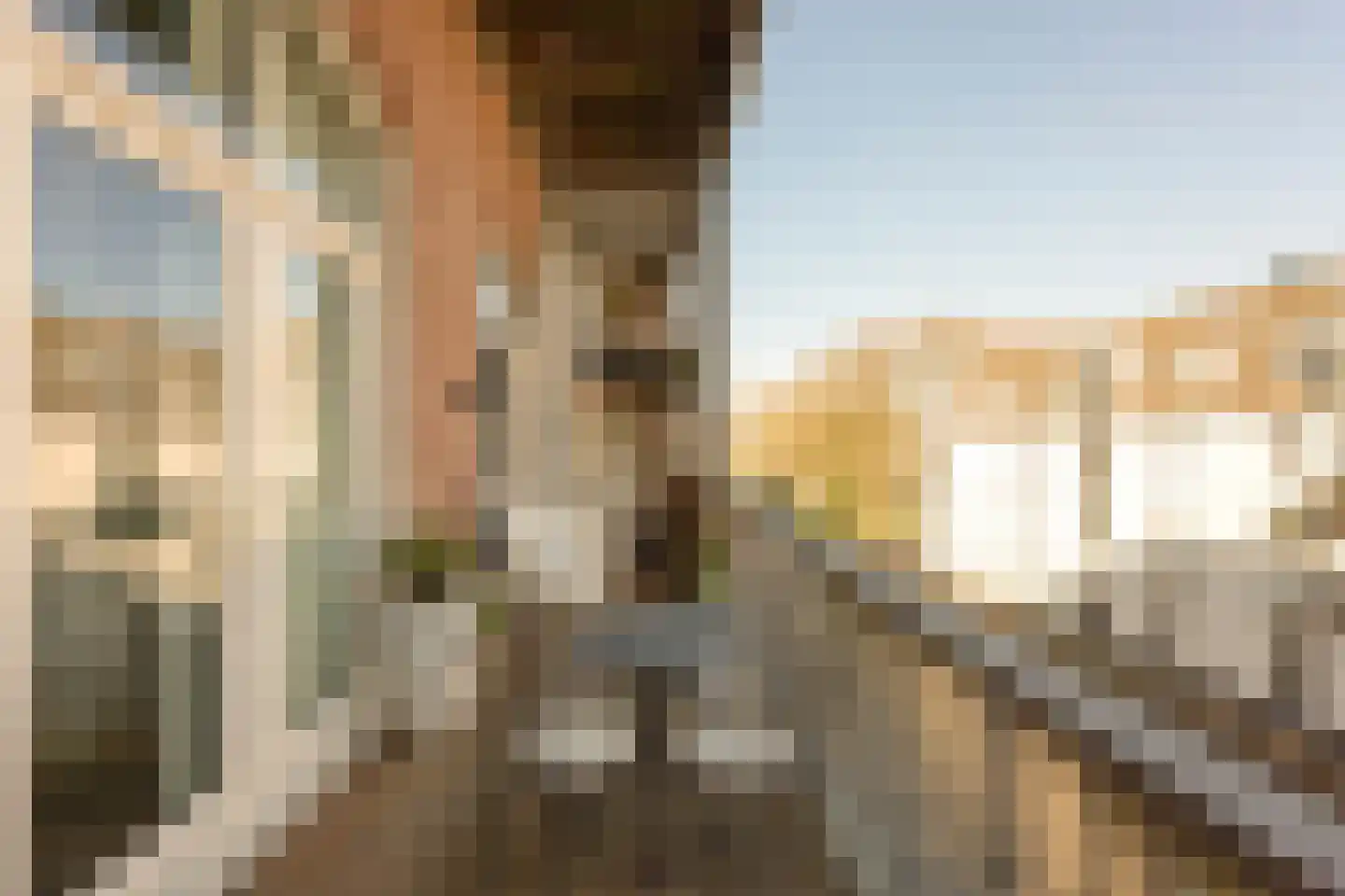 Planciusstraat 17 C Amsterdam thumbnail 21