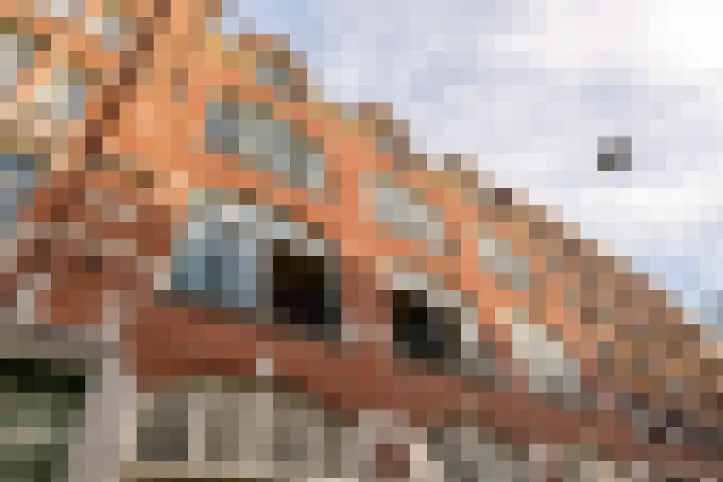 Planciusstraat 17 C Amsterdam thumbnail 6