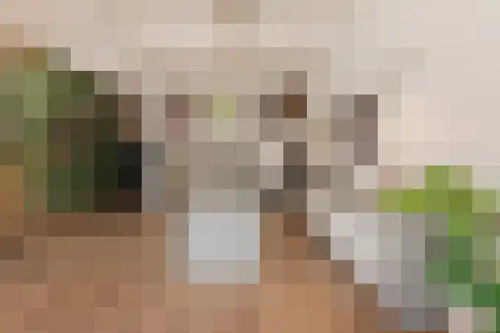 Planciusstraat 17 E Amsterdam thumbnail 12