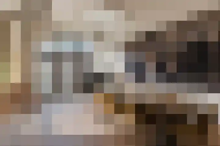 Planciusstraat 17 E Amsterdam thumbnail 18