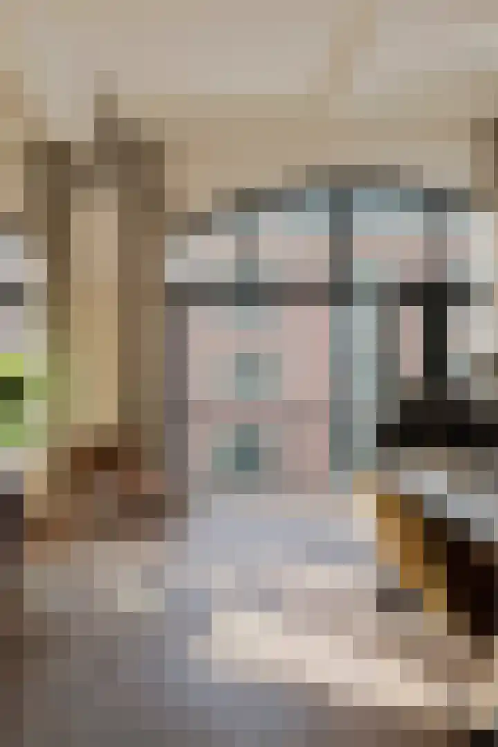 Planciusstraat 17 E Amsterdam thumbnail 21