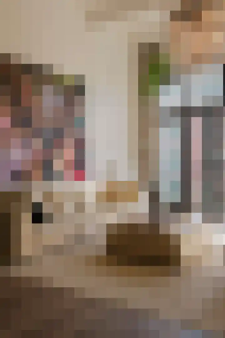Planciusstraat 17 E Amsterdam thumbnail 26