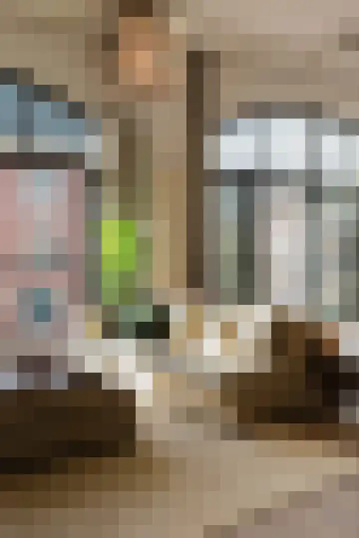 Planciusstraat 17 E Amsterdam thumbnail 27