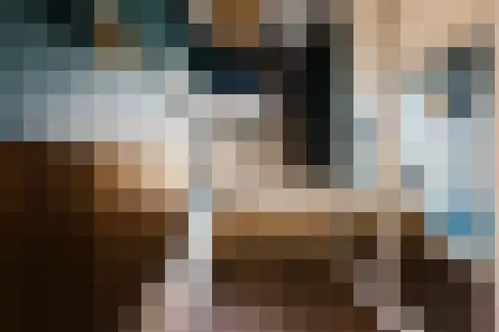 Planciusstraat 17 E Amsterdam thumbnail 33