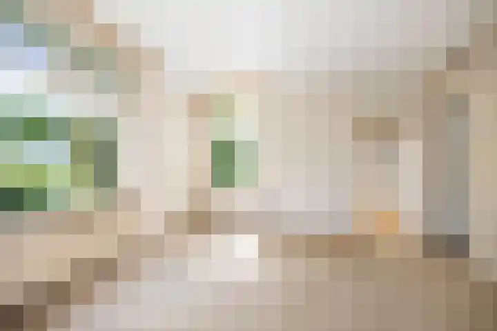 Planciusstraat 19 E 4 Amsterdam thumbnail 37