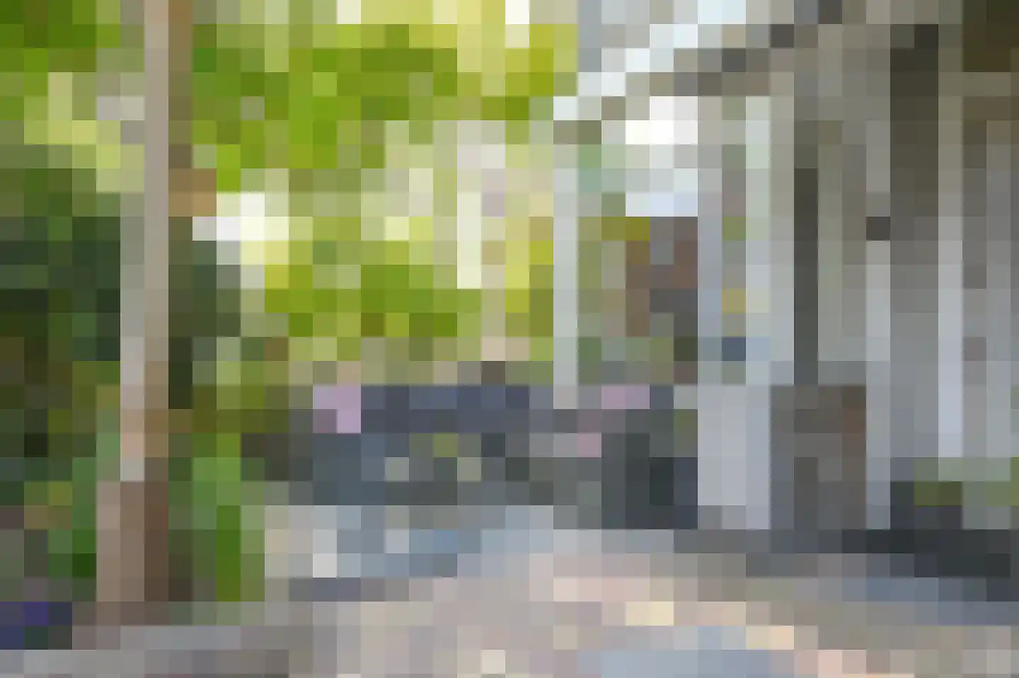 Planciusstraat 19 IJmuiden thumbnail 10