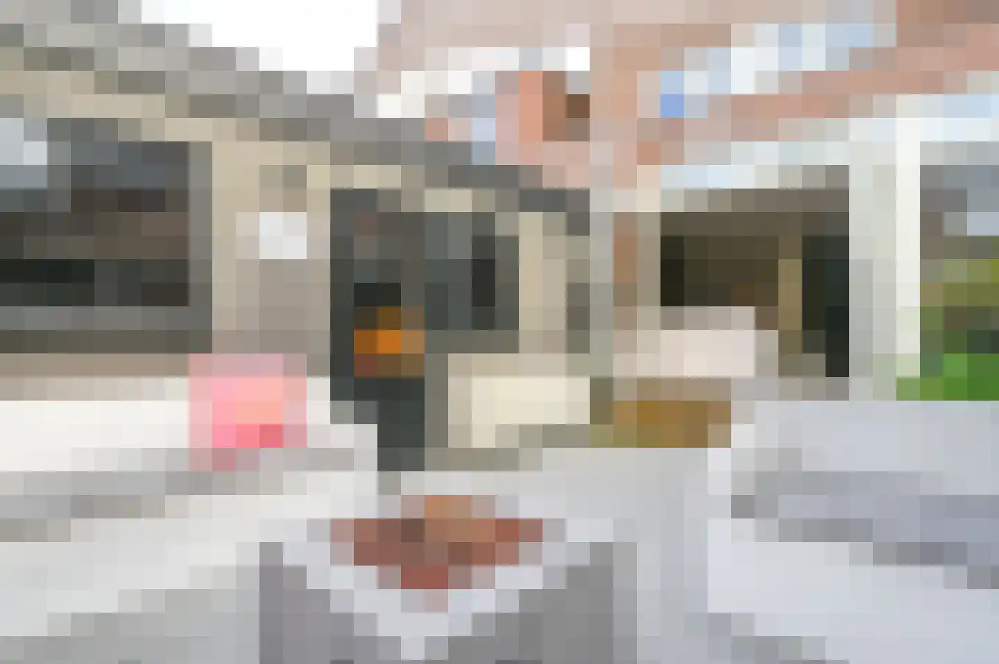 Planciusstraat 19 IJmuiden thumbnail 27