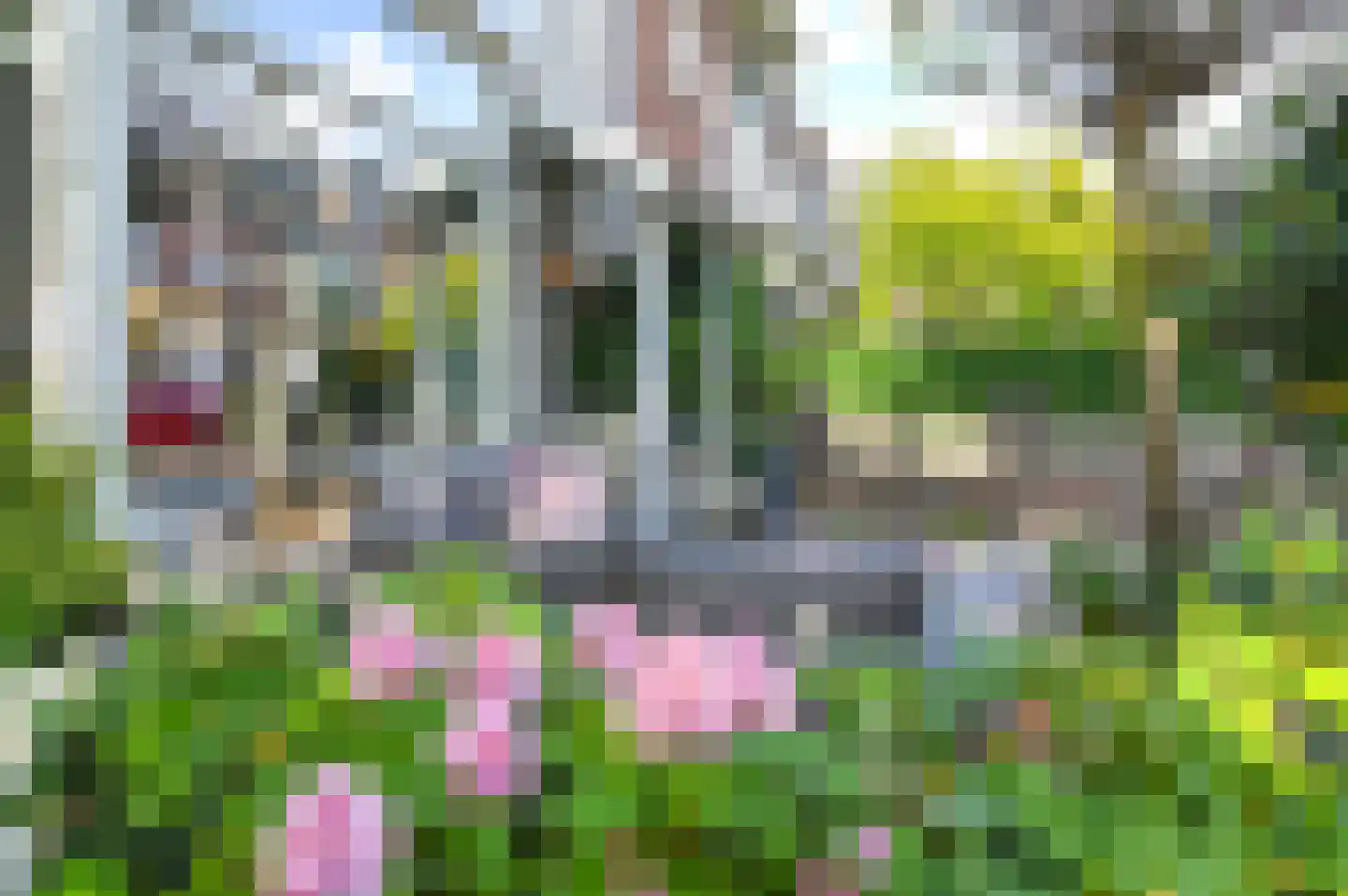 Planciusstraat 19 IJmuiden thumbnail 8