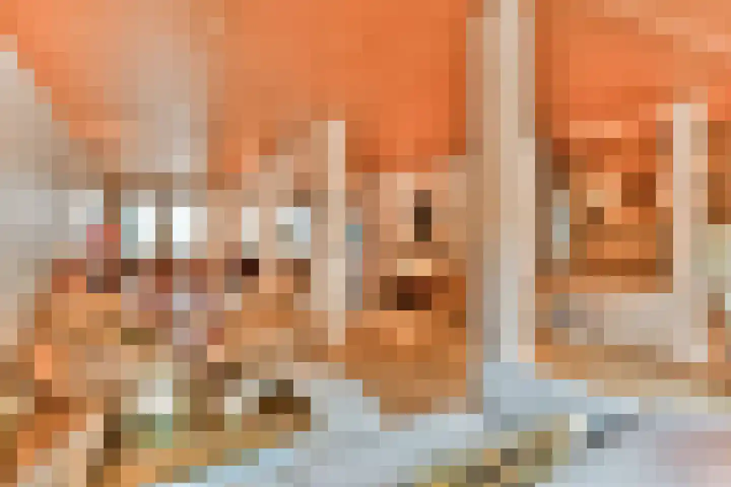 Planciusstraat 21 Amsterdam thumbnail 12