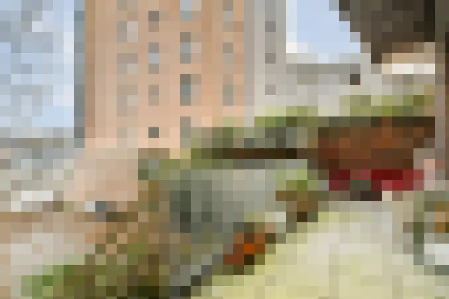 Planciusstraat 21 Amsterdam thumbnail 25
