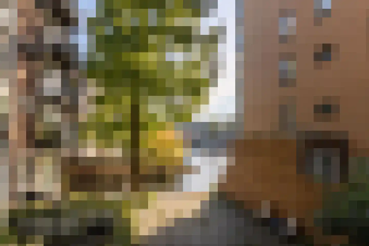 Planciusstraat 21 Amsterdam thumbnail 28