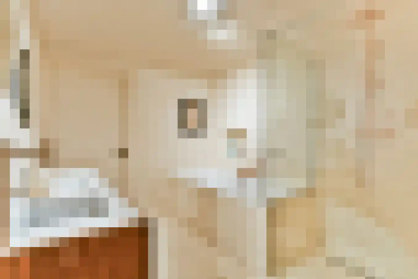 Planciusstraat 21 Amsterdam thumbnail 7