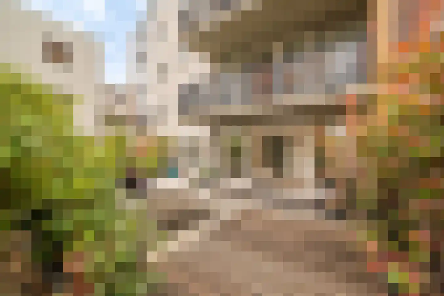 Planciusstraat 23 A Amsterdam thumbnail 20
