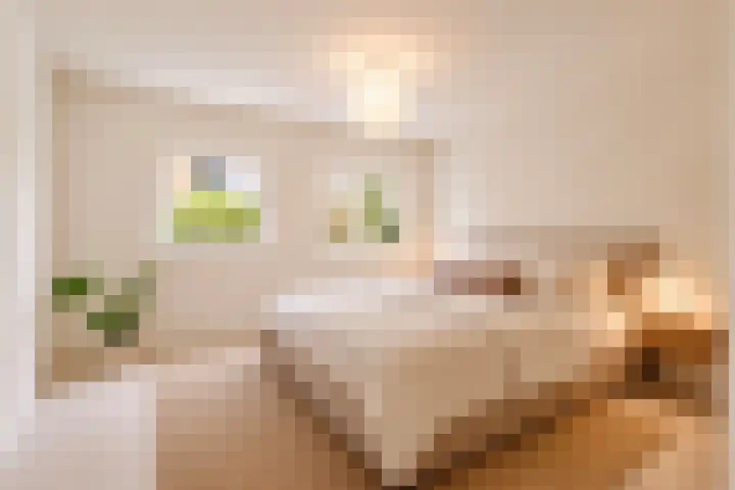 Planciusstraat 23 A Amsterdam thumbnail 26