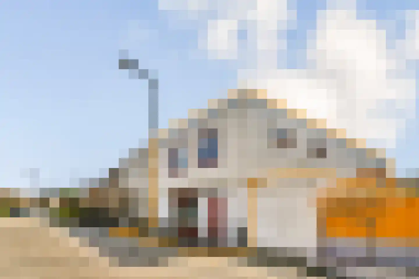 Planciusstraat 23 Hoek van Holland thumbnail 22