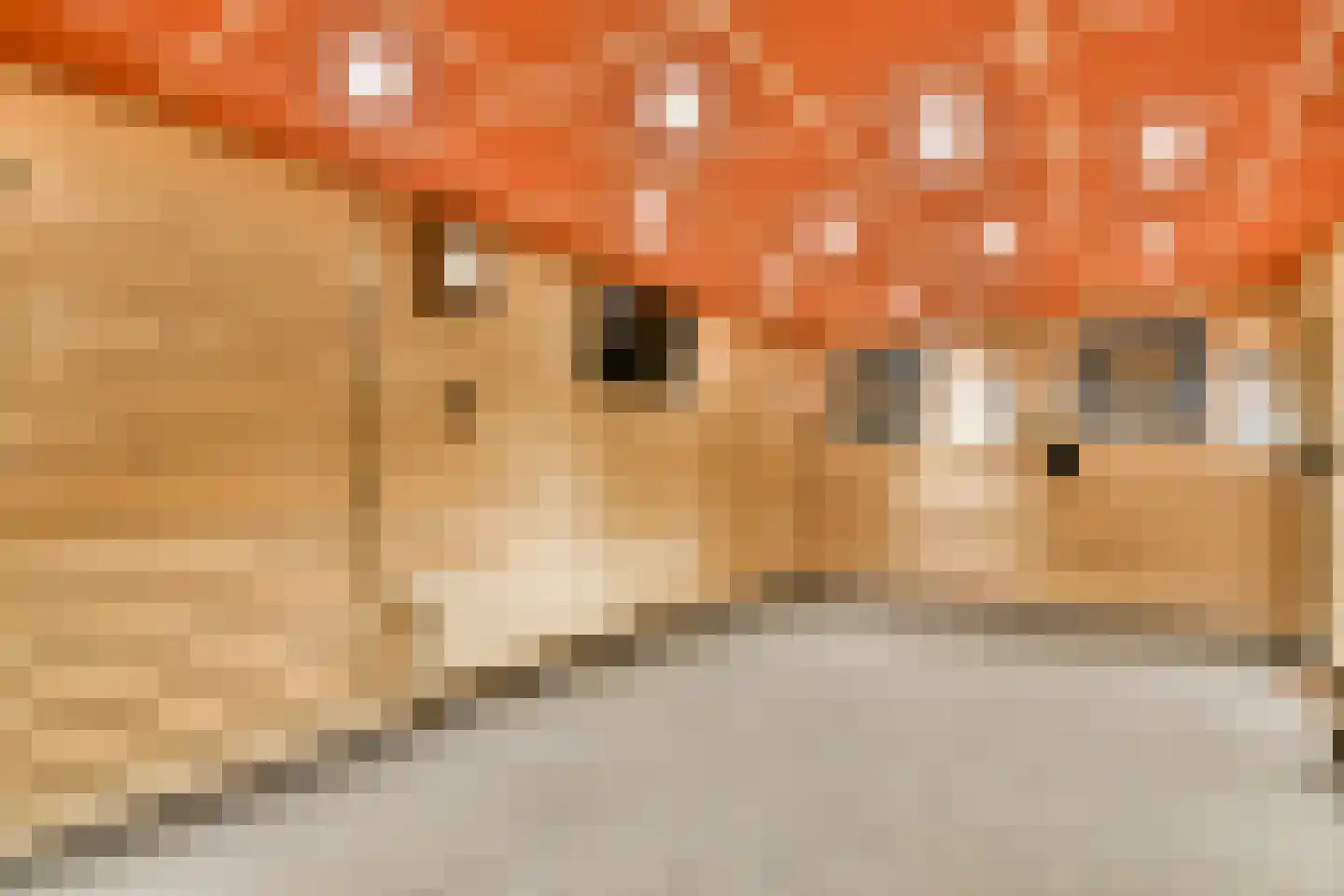 Planciusstraat 23 Hoek van Holland thumbnail 7