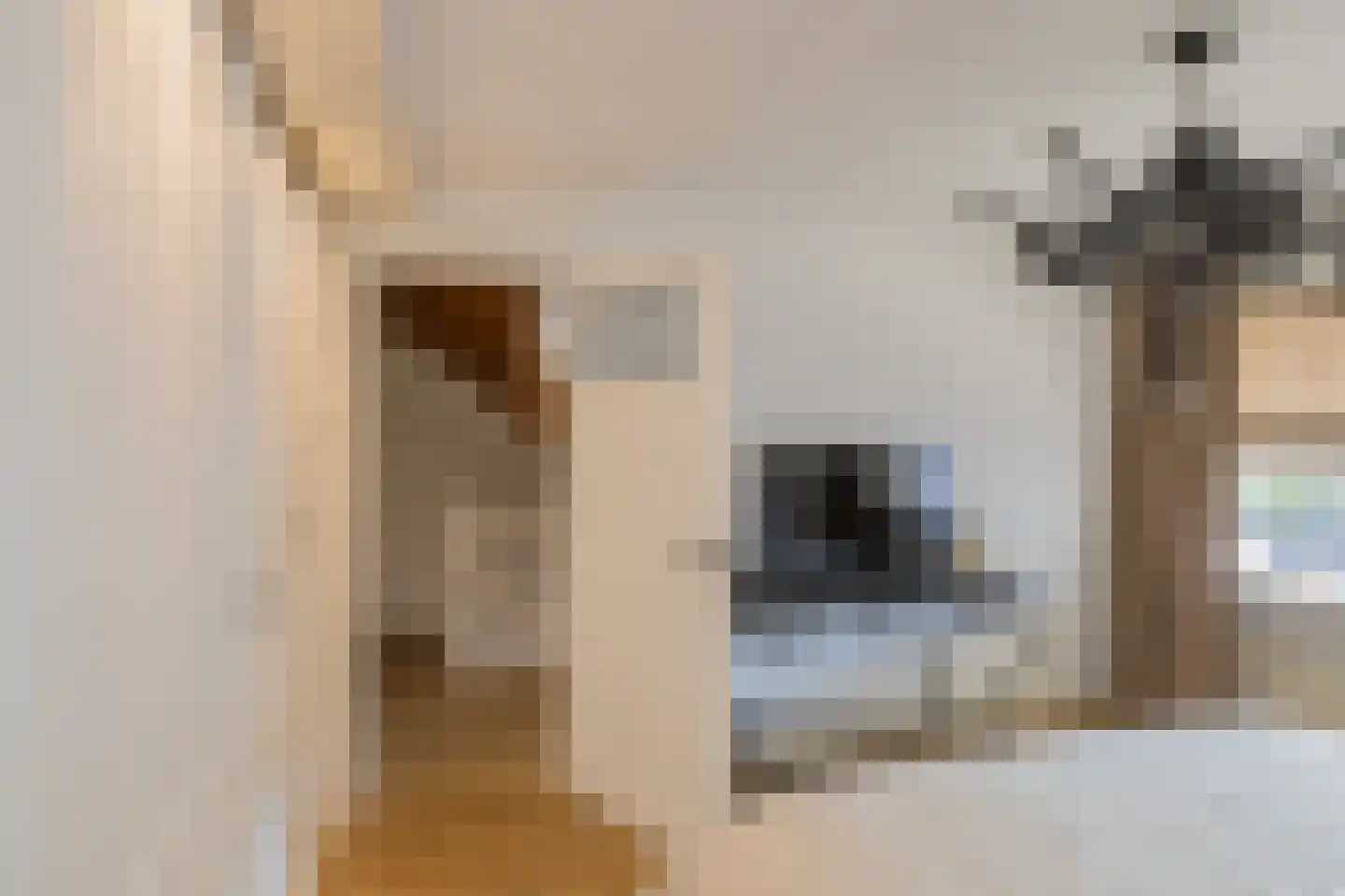 Planciusstraat 5 IJmuiden thumbnail 27