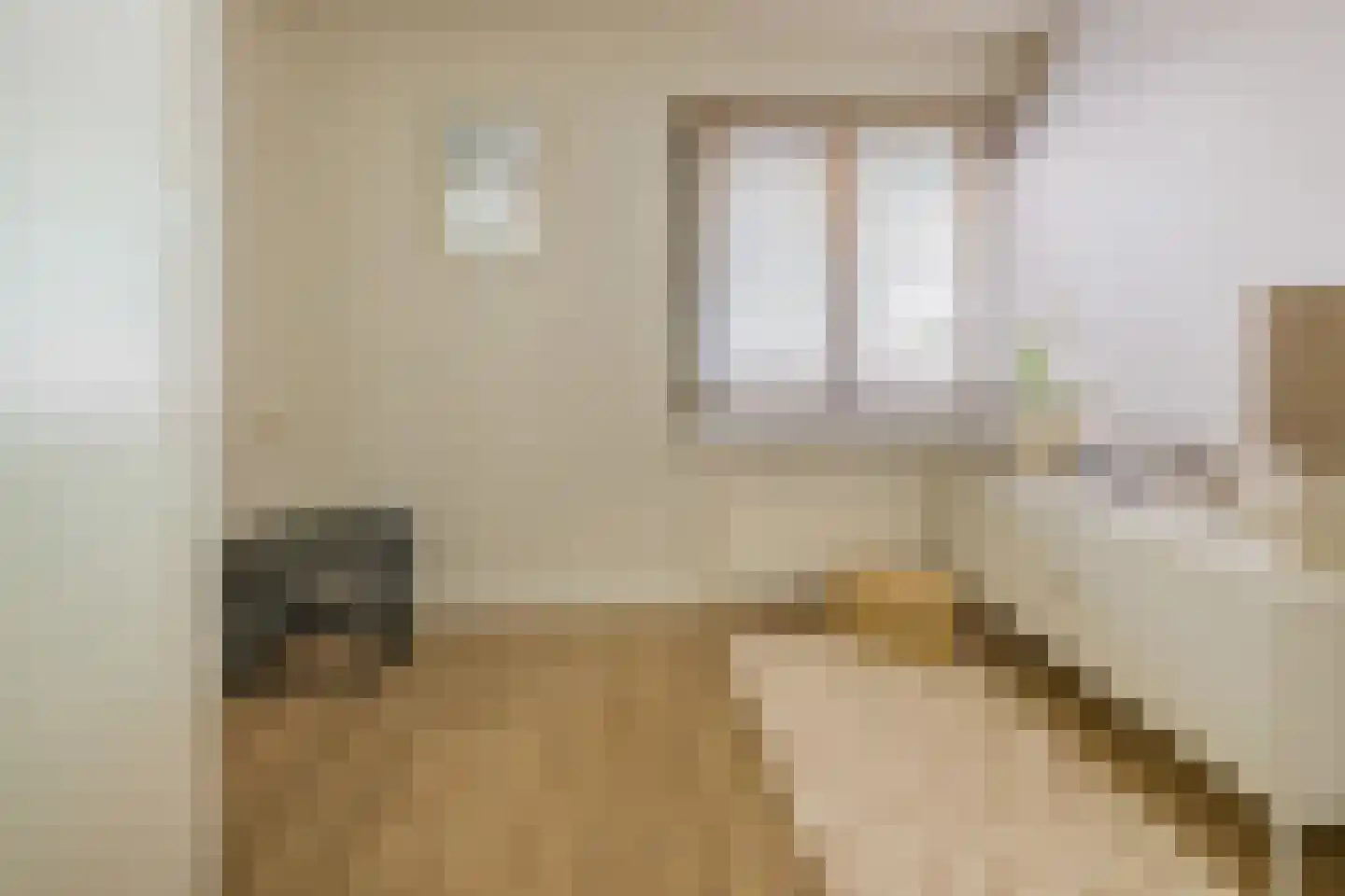 Planciusstraat 5 IJmuiden thumbnail 32