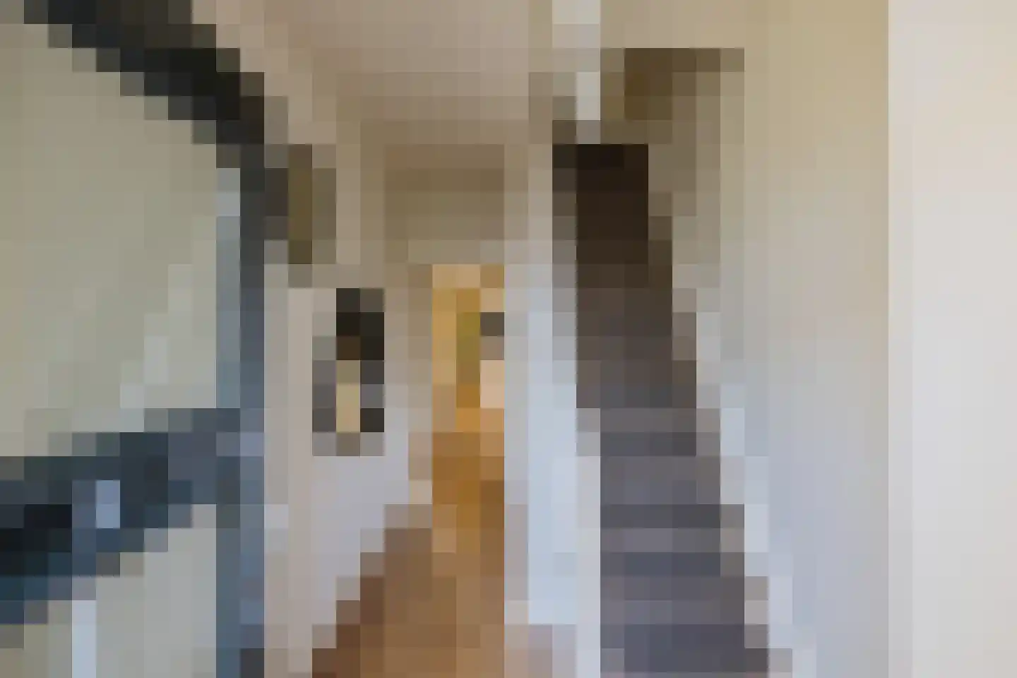 Planciusstraat 5 IJmuiden thumbnail 4