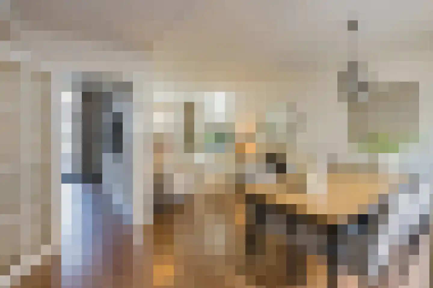 Planciusstraat 5 IJmuiden thumbnail 8