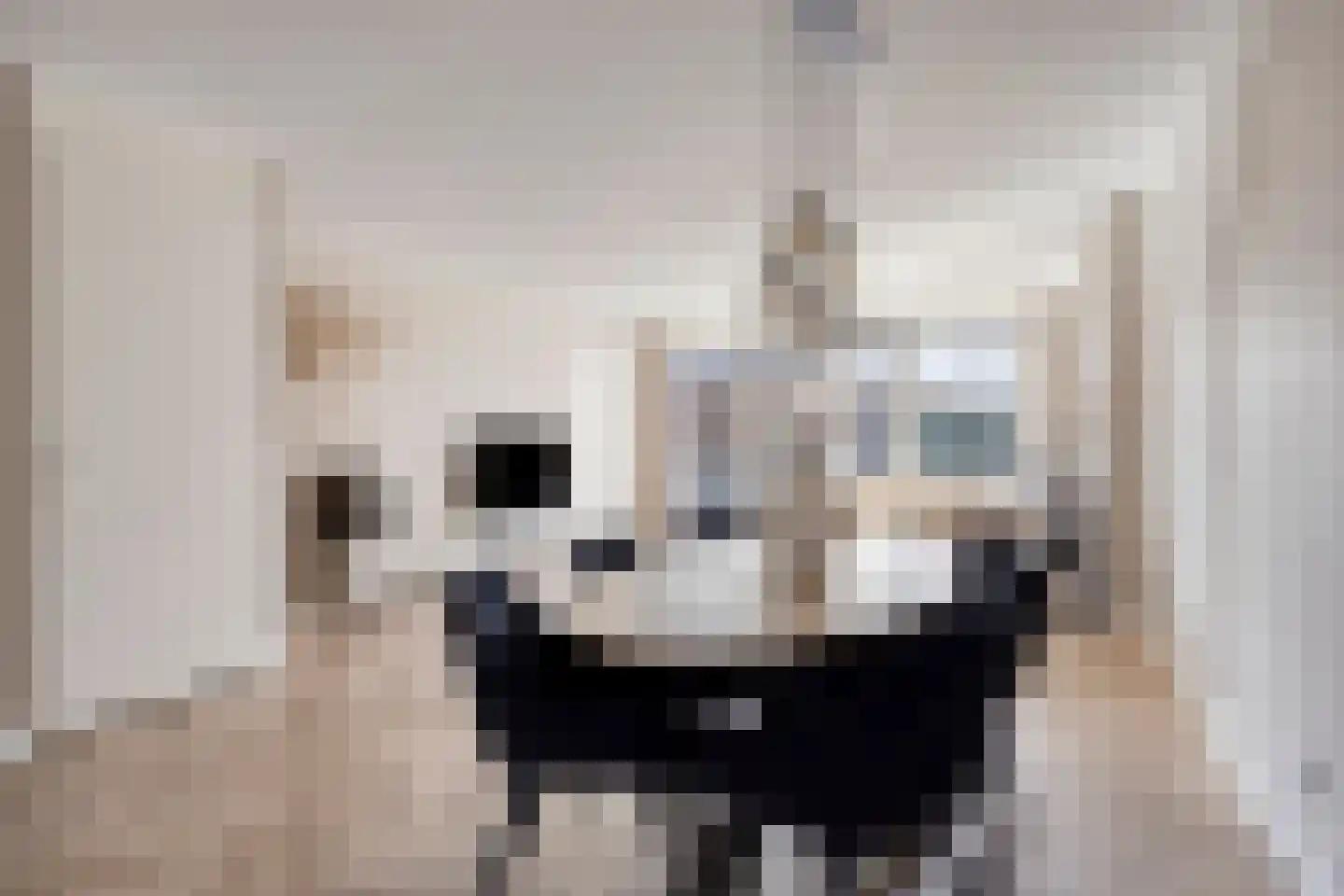 Planeet 11 Klazienaveen thumbnail 8